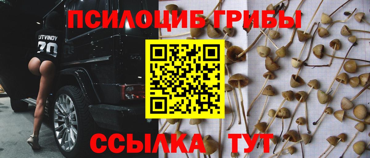 Галлюциногенные грибы мухоморы Дальнегорск